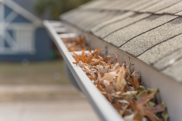 Leaf Barrier Installation in Camas